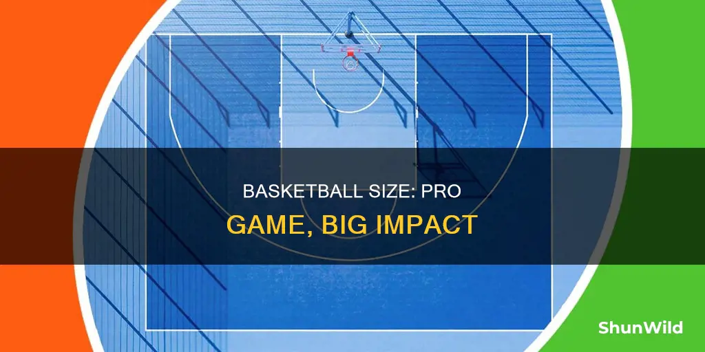 how big is a pro basketball