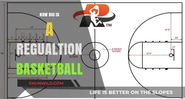 The Standard Basketball: Size and Weight Specifications