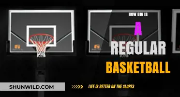 The Standard Basketball Size: Official Measurements and Rules