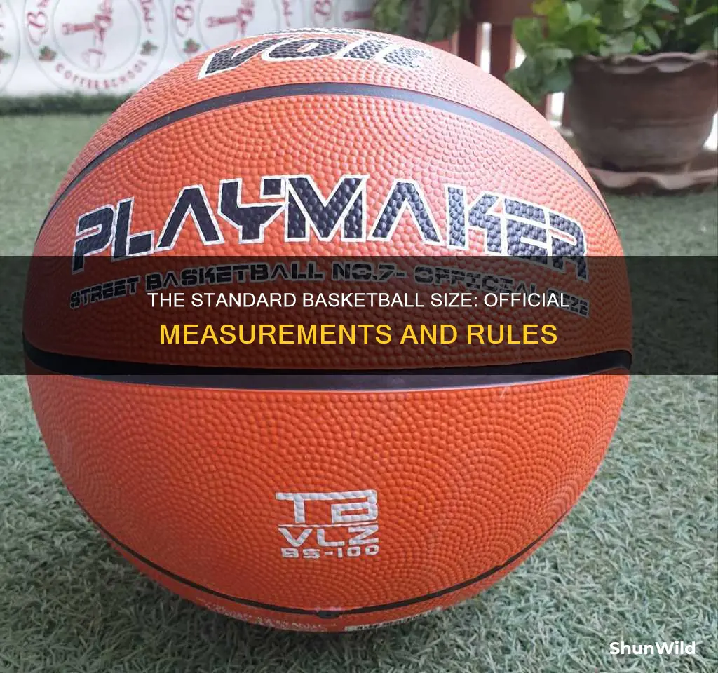 how big is a regular basketball