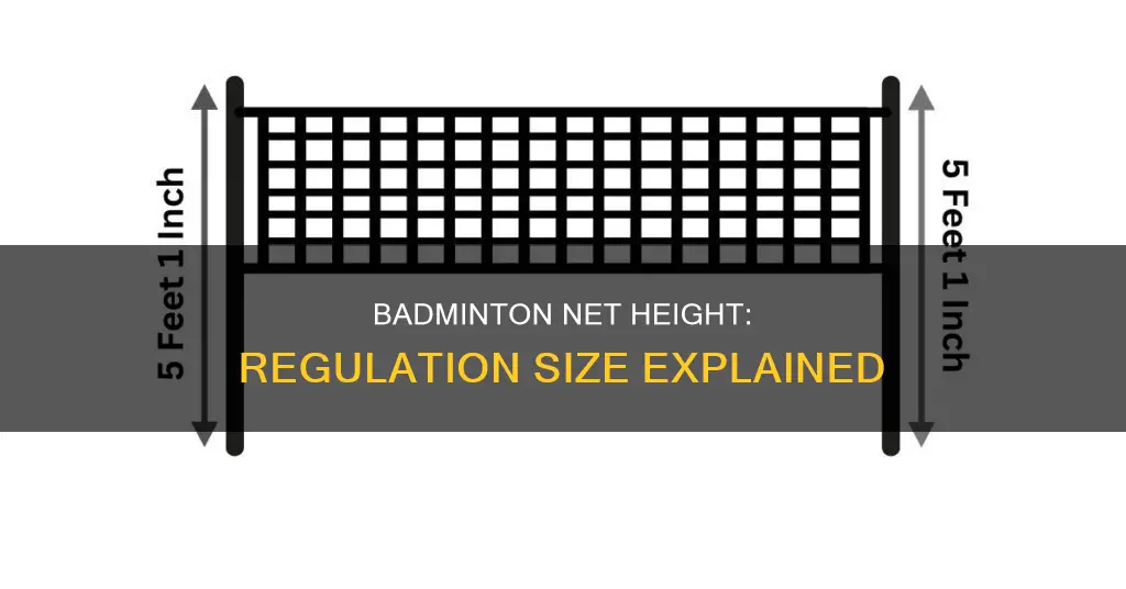 how big is a regulation badminton net