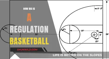 The Standard Basketball Size: Official Measurements