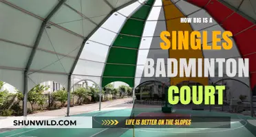 Badminton Singles Court Size: All You Need to Know