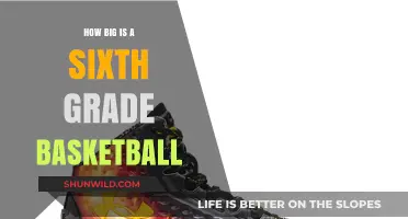Basketball Sizing: Sixth Grade, Big Court Dreams