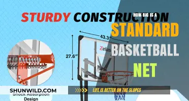 The Standard Basketball Net: Dimensions and Fun Facts