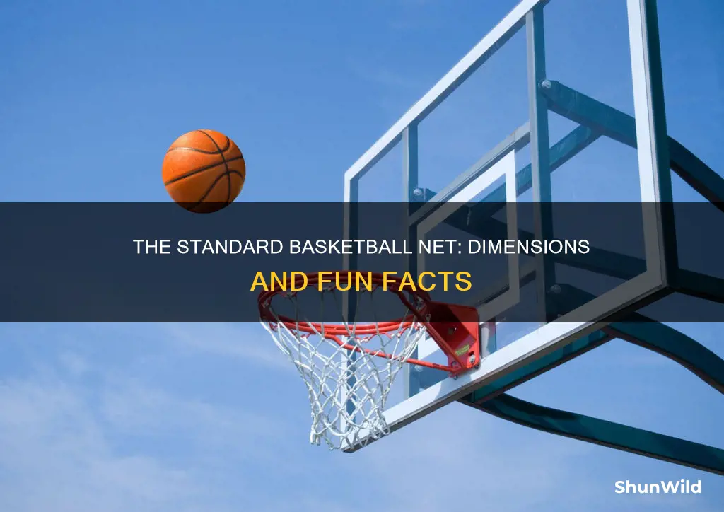 how big is a standard basketball net