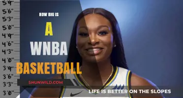 WNBA Basketball Size: Know the Exact Measurements