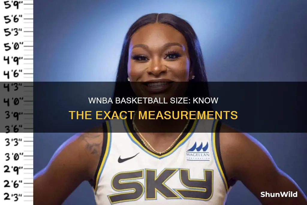 how big is a wnba basketball