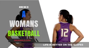 Women's Basketball: Understanding the Size and Scope