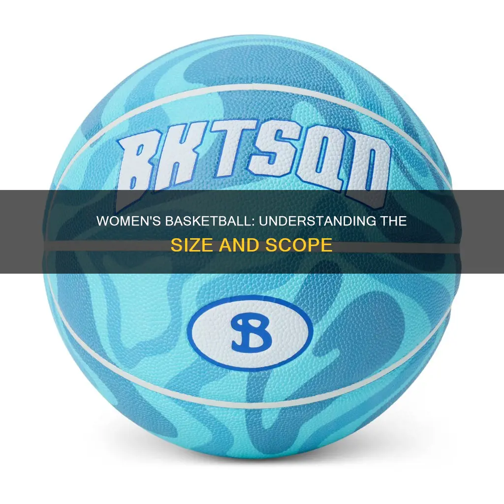 how big is a womans basketball