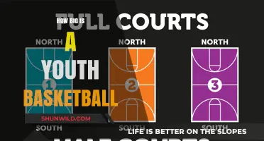 Basketball Sizing for Youth: Understanding the Right Fit