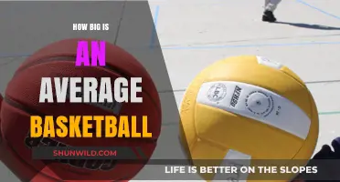 The Standard Basketball Size: Official Measurements and More