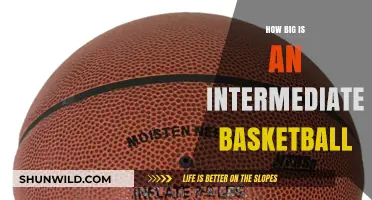 Choosing the Right Basketball Size for Intermediates