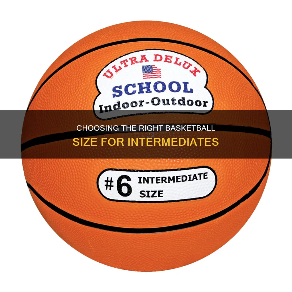 how big is an intermediate basketball