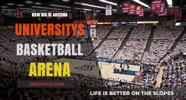 Arizona's Basketball Arena: A Giant's Court