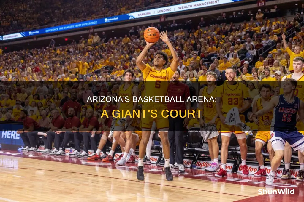 how big is arizona universitys basketball arena