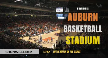 Auburn Arena's Massive Court: How Big Is It?