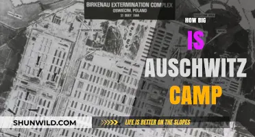Auschwitz Camp Size: Uncovering the Vastness of a Dark History