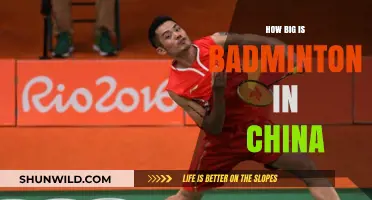 Badminton in China: A National Obsession
