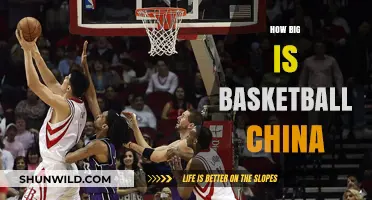Basketball in China: A Massive Sport