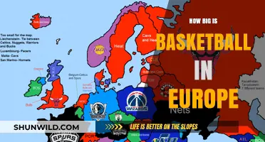 Basketball's Popularity in Europe: A Rising Sport?