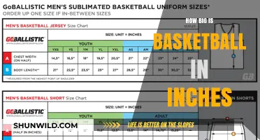 Basketball Size: Inches and Regulations