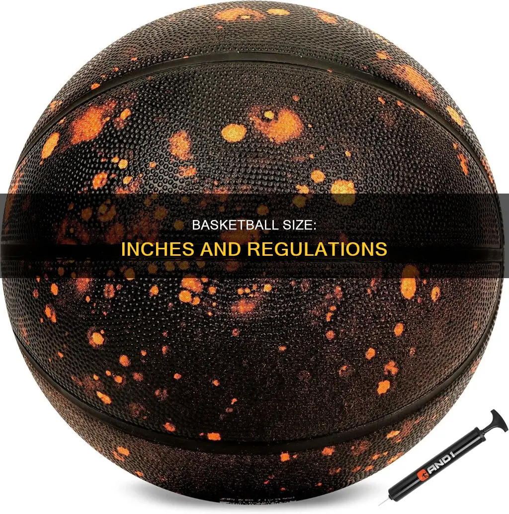 how big is basketball in inches