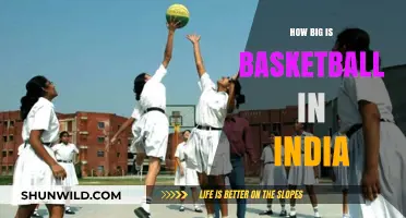 Basketball in India: A Growing Sport