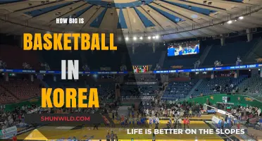 Basketball in Korea: A Growing Passion