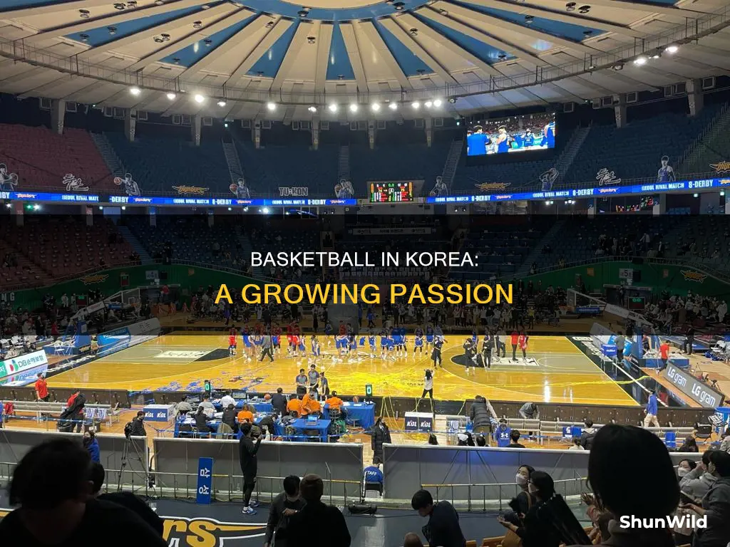 how big is basketball in korea