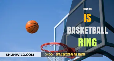 The Standard Basketball Hoop Size: Universal or Not?