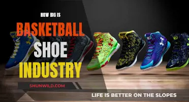 Basketball Shoes: A Billion-Dollar Industry's Secrets