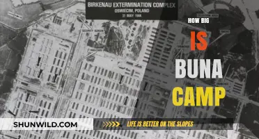 Exploring Buna Camp: Size, Layout, and Key Features Revealed