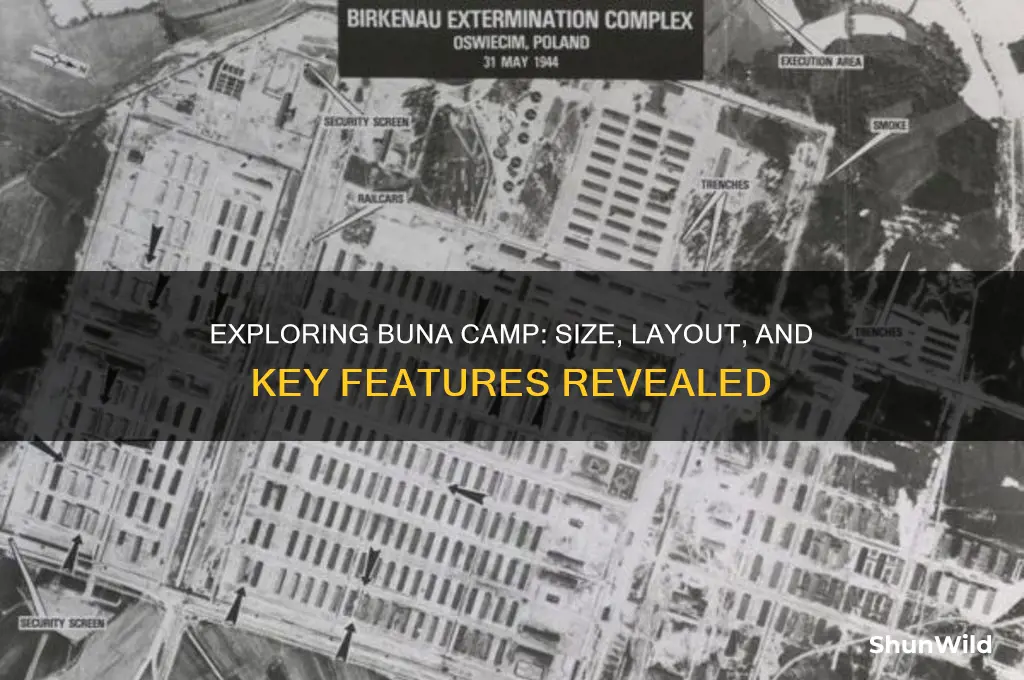 how big is buna camp