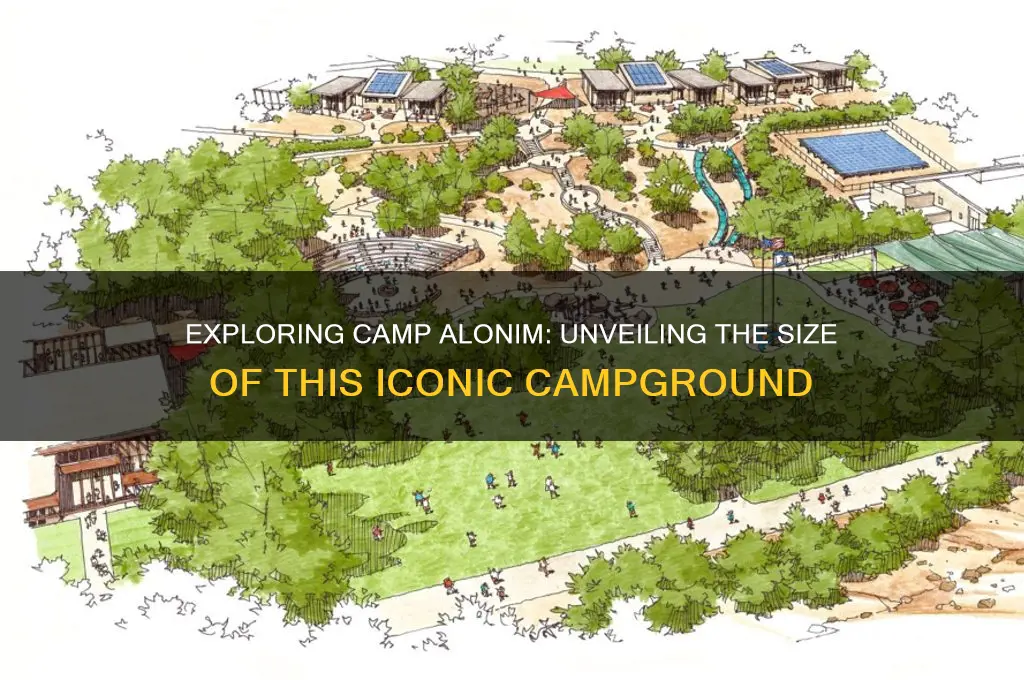 how big is camp alonim