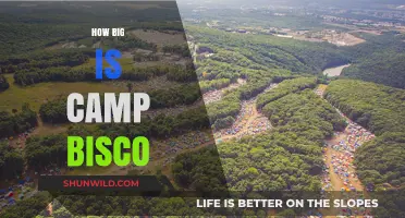 Exploring Camp Bisco's Size: A Comprehensive Guide to the Festival Grounds