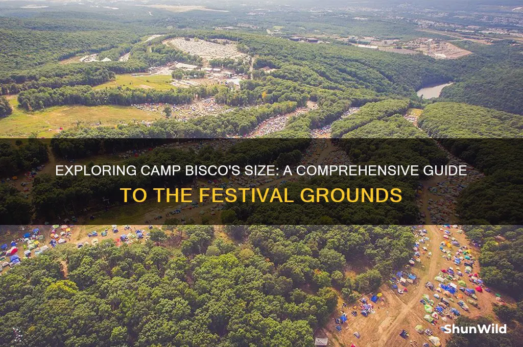 how big is camp bisco