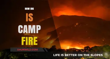 Understanding the Massive Scale of the Camp Fire Disaster