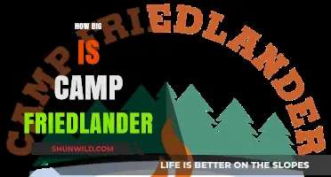 Exploring Camp Friedlander: Size, Facilities, and Outdoor Adventure Highlights
