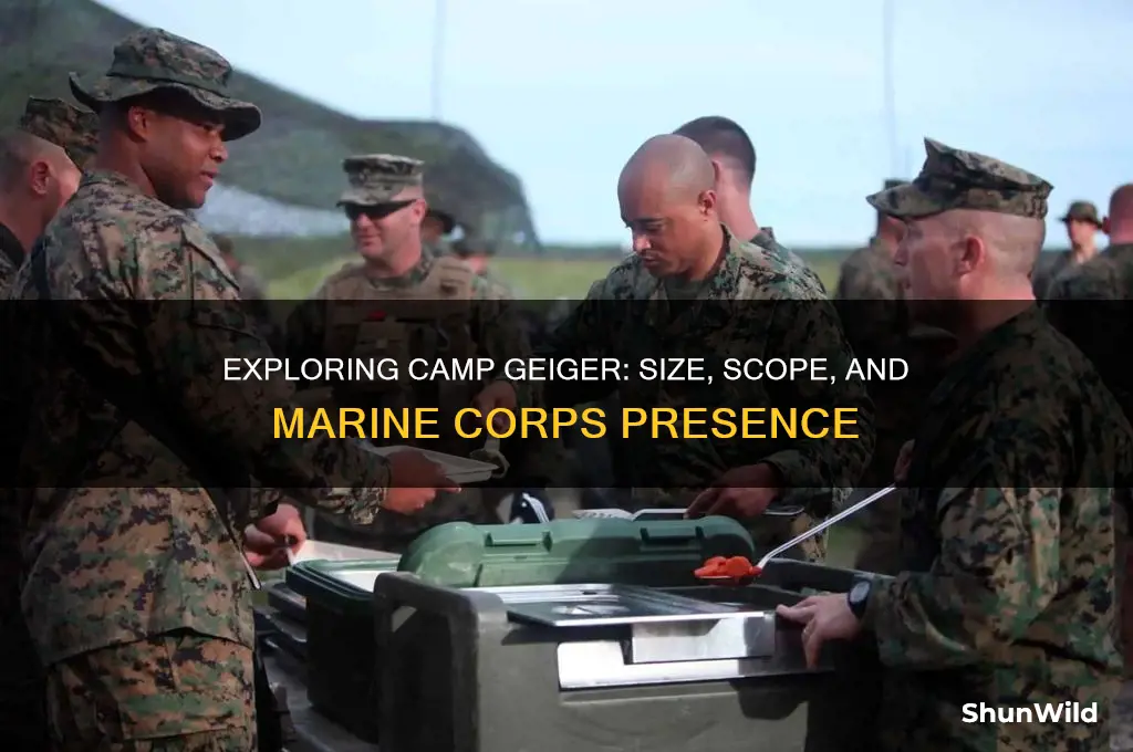 how big is camp geiger