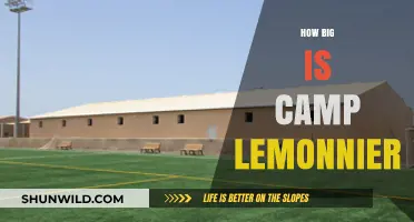 Exploring Camp Lemonnier: Size, Scale, and Strategic Importance Revealed