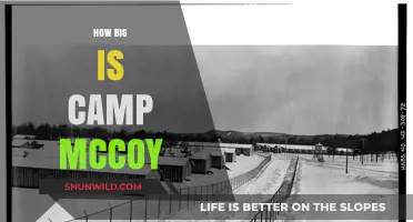 Exploring Camp McCoy: Size, Scale, and Strategic Importance Revealed
