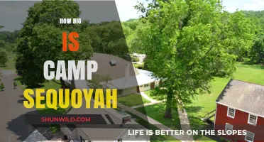 Exploring Camp Sequoyah: Size, Layout, and Facilities Revealed