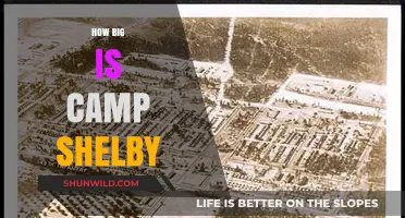 Exploring Camp Shelby's Massive Size and Scale in Mississippi