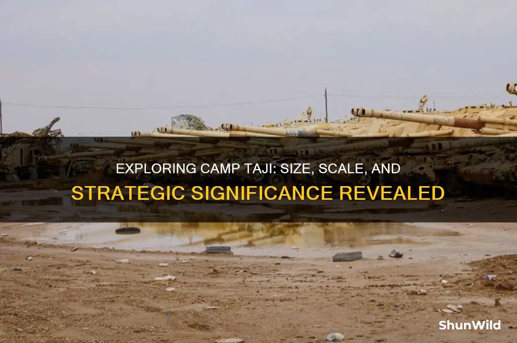 how big is camp taji