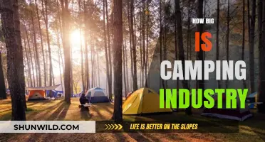 Exploring the Massive Scale and Growth of the Camping Industry