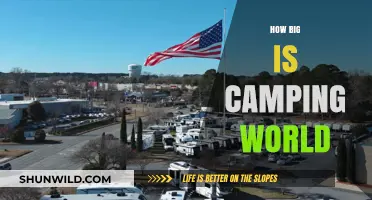 Exploring Camping World's Massive Size and Nationwide Reach