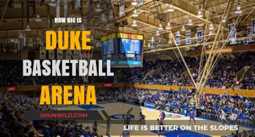 Duke's Basketball Arena: A Massive Court