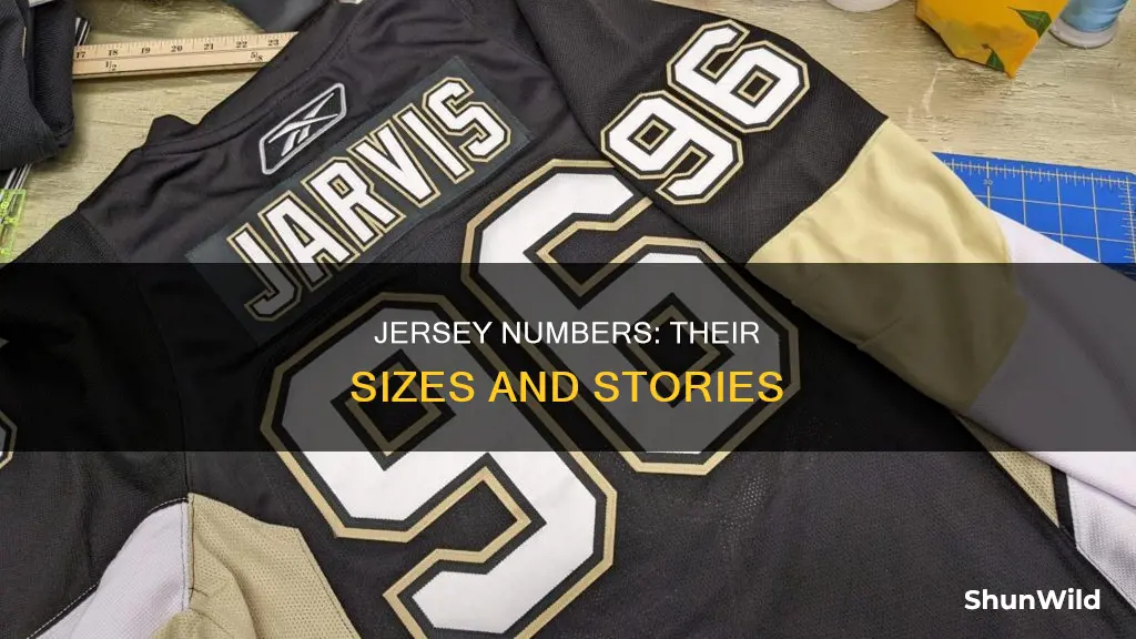 how big is each number basketball jersey