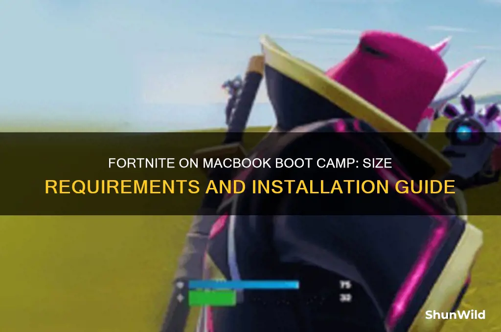 how big is fortnite on macbook boot camp